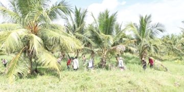 All Nations University ventures into agriculture