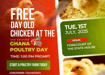Free Day-Old Chicks and Grilled Poultry Birds to Be Shared at 5th Ghana Poultry Day
