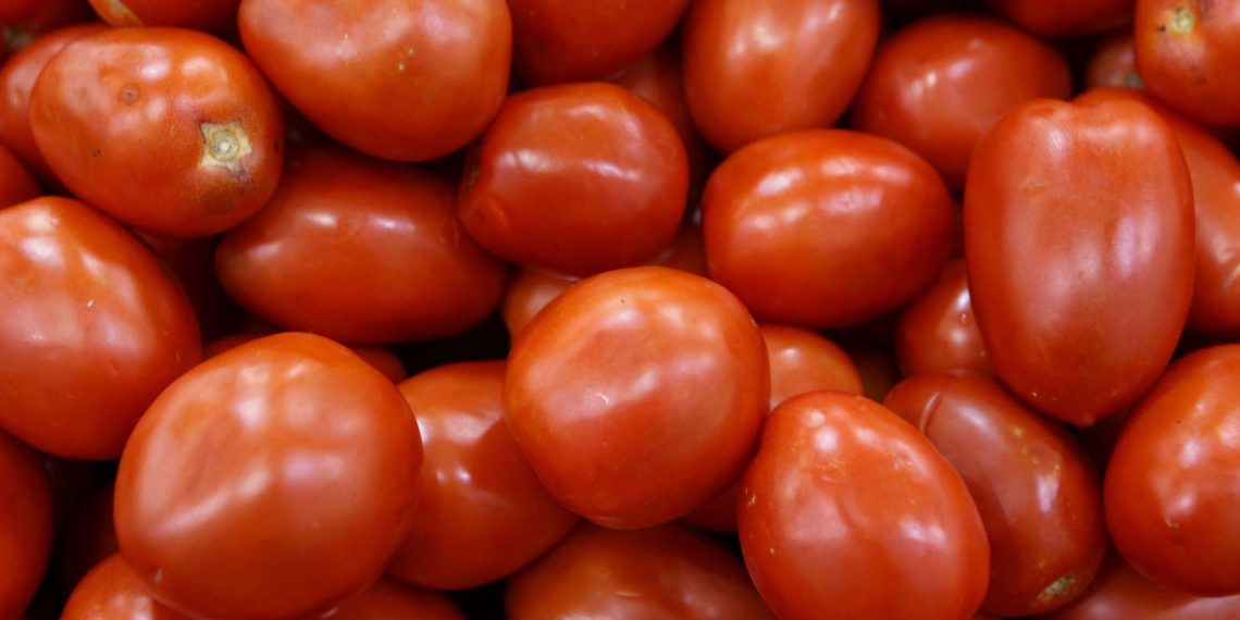 FDA issues highest warning over tomato contamination FDA issues highest warning over tomato contamination
