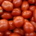 FDA issues highest warning over tomato contamination FDA issues highest warning over tomato contamination