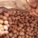 Concerns mount over potential shea nut export ban Concerns mount over potential shea nut export ban