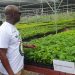 Rainforest Builder unveils Africa’s largest indigenous tree nursery in Ghana Rainforest Builder unveils Africa’s largest indigenous tree nursery in Ghana