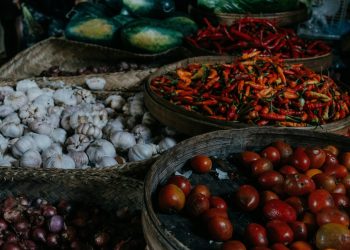 Food Tank’s Weekly News Roundup: SNAP Cuts, Soda Bans, and Avian Flu