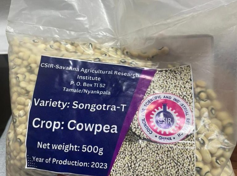 Why Songotra-T cowpea seeds availability is key for survival of farmers in Northern Ghana Why Songotra-T cowpea seeds availability is key for survival of farmers in Northern Ghana