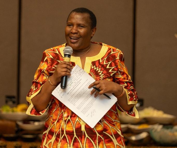 Strengthening food systems transformation in Africa