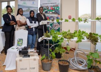 YEFFA Mozambique Empowers Youth in Agriculture, Charts Paths For Economic Resilience and Job Creation