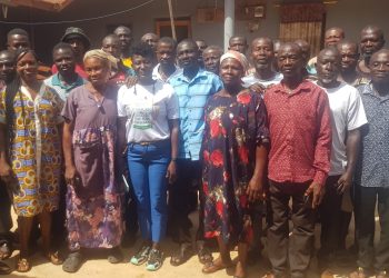 PFAG secures funding to boost vegetable production for 15,000 farmers