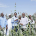 Sudan to adopt zinc-enriched sorghum to curb micronutrient deficiency and food system stress Sudan to adopt zinc-enriched sorghum to curb micronutrient deficiency and food system stress
