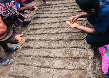 Boost to Bloom Project Empowers Women, Youth, and Persons with Disabilities in Lingbinsi