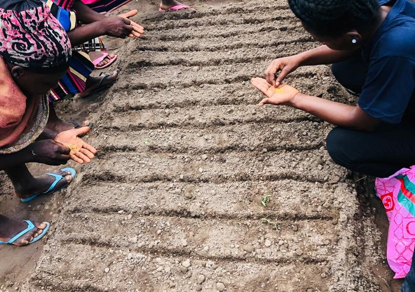 Boost to Bloom Project Empowers Women, Youth, and Persons with Disabilities in Lingbinsi Boost to Bloom Project Empowers Women, Youth, and Persons with Disabilities in Lingbinsi