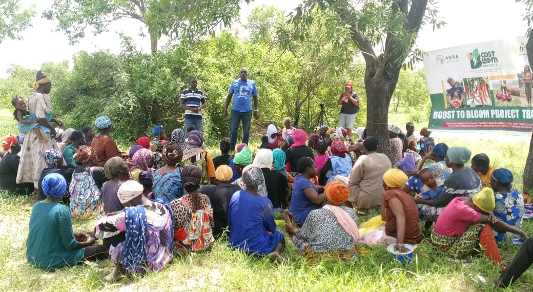 Agrihouse Deepens Rural Empowerment in Yapei with Hands-On Chilli Training for Over 200 Women