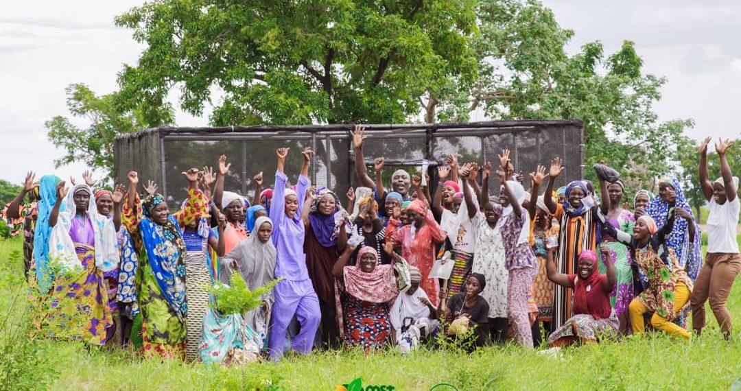 Boost-to-Bloom Takes Root in Zabzugu as Over 1,000 Farmers Begin Intensive Agribusiness Training Boost-to-Bloom Takes Root in Zabzugu as Over 1,000 Farmers Begin Intensive Agribusiness Training