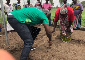 150 Women and Youth Trained in Pepper Farming as Agrihouse Launches ‘Boost to Bloom’ with Lingbinsi Bloomers Cooperative