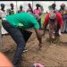 150 Women and Youth Trained in Pepper Farming as Agrihouse Launches ‘Boost to Bloom’ with Lingbinsi Bloomers Cooperative 150 Women and Youth Trained in Pepper Farming as Agrihouse Launches ‘Boost to Bloom’ with Lingbinsi Bloomers Cooperative