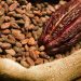 Ghana’s cocoa sector expands by 3.4% after six quarters of contraction Ghana’s cocoa sector expands by 3.4% after six quarters of contraction