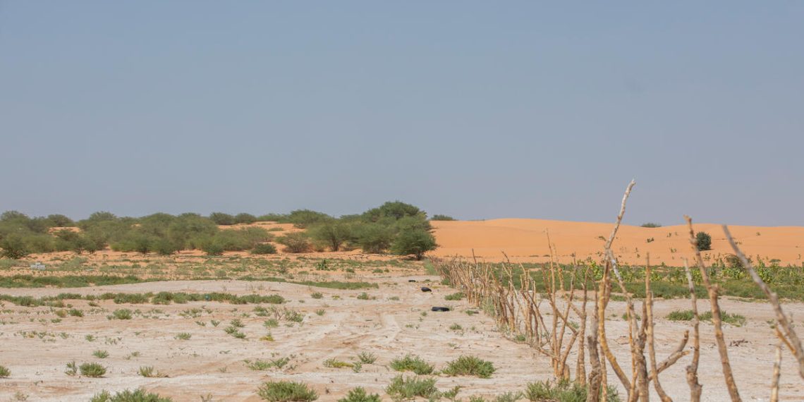 Over 46 Million Hectares at Risk: FAO Urges Action on Arab Land Degradation Over 46 Million Hectares at Risk: FAO Urges Action on Arab Land Degradation