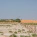 Over 46 Million Hectares at Risk: FAO Urges Action on Arab Land Degradation