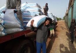 Sudan: FAO scales up emergency response with seed distribution campaign targeting 7.5 million people