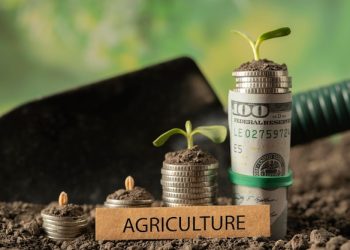 CBF On-Air Series: Scale up funding for agribusiness growth – Farmers urge Govt