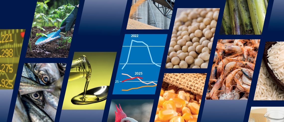 Global Food Commodity Output Set to Rise, But Risks Remain — FAO Warns Global Food Commodity Output Set to Rise, But Risks Remain — FAO Warns