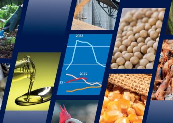 Global Food Commodity Output Set to Rise, But Risks Remain — FAO Warns