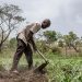 FAO and WFP early warning report reveals worsening hunger in 13 hotspots; five with immediate risk of starvation FAO and WFP early warning report reveals worsening hunger in 13 hotspots; five with immediate risk of starvation
