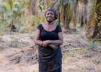 71-Year-Old Charlotte Adu from Efutu Turns Farming into a Thriving Business Empire