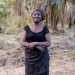71-Year-Old Charlotte Adu from Efutu Turns Farming into a Thriving Business Empire 71-Year-Old Charlotte Adu from Efutu Turns Farming into a Thriving Business Empire