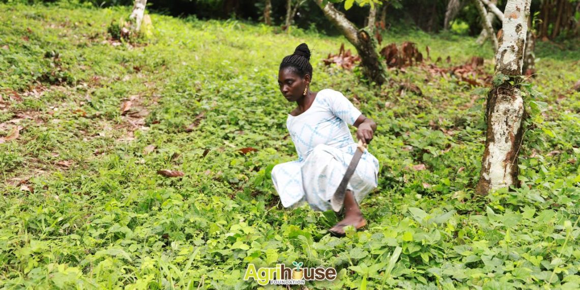 Farming Without Limit Farming Without Limit