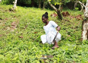 Farming Without Limit