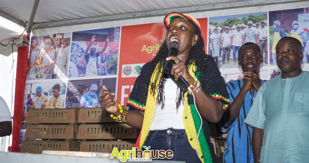 Greater Investment Needed to Improve  Ghana’s Poultry Sector Greater Investment Needed to Improve  Ghana’s Poultry Sector