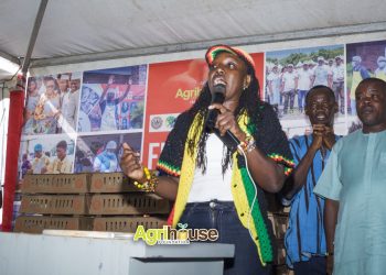 Greater Investment Needed to Improve  Ghana’s Poultry Sector