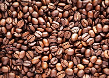 NEW:Coffee industry recovers, exports rise 14% in 2024