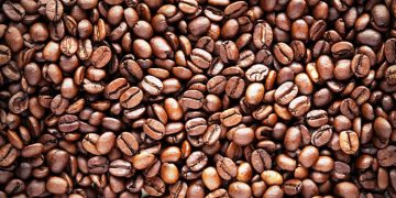 NEW:Coffee industry recovers, exports rise 14% in 2024