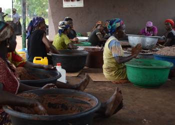 Fixed prices for shea nuts not enough -Industry players