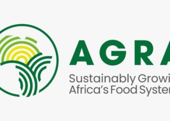 International Youth Day 2025: Youth Leading Ghana’s Food Systems Transformation and SDG Acceleration