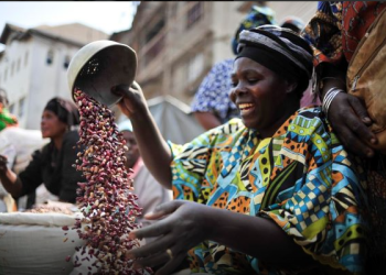 Innovative Financing Crucial for Africa’s Agrifood Transformation – Report