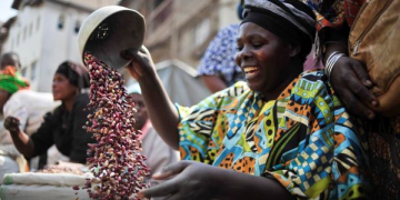 Innovative Financing Crucial for Africa’s Agrifood Transformation – Report