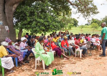 Boost to Bloom Empowers Nangodi Community with Profitable Chili Farming Skills.