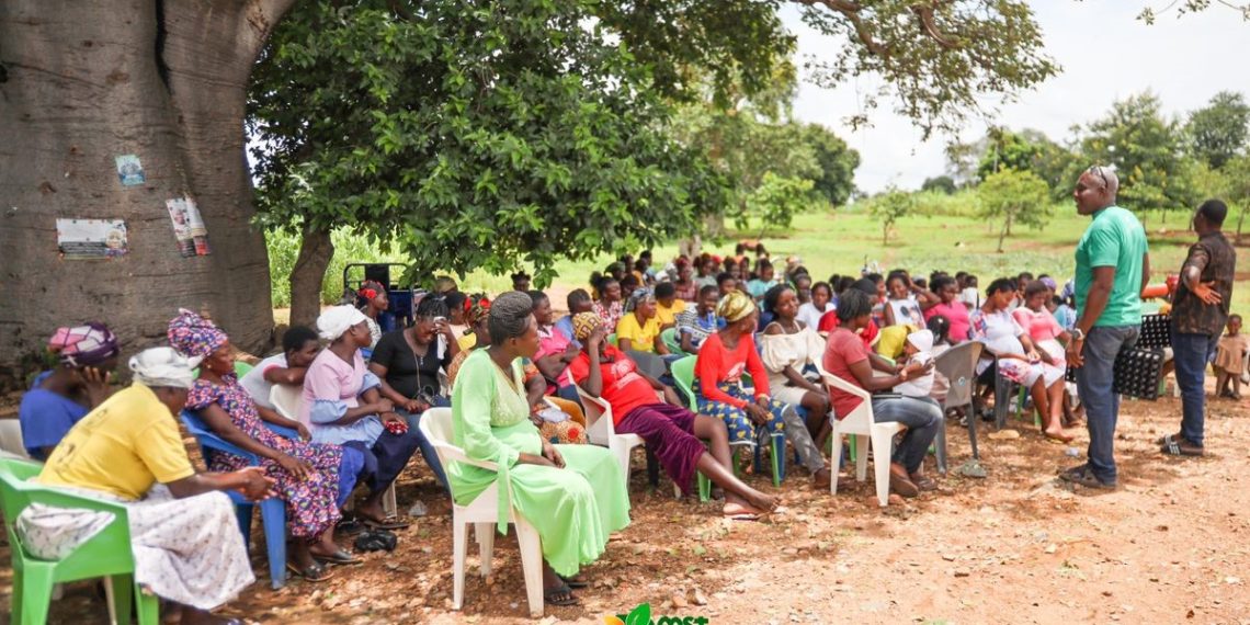 Boost to Bloom Empowers Nangodi Community with Profitable Chili Farming Skills. Boost to Bloom Empowers Nangodi Community with Profitable Chili Farming Skills.