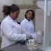 The Call for the 2026 AWARD Leadership Program for Emerging African Women in Agricultural Sciences opens The Call for the 2026 AWARD Leadership Program for Emerging African Women in Agricultural Sciences opens