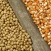 Gov’t directs buffer stock company to purchase grains from farmers Gov’t directs buffer stock company to purchase grains from farmers