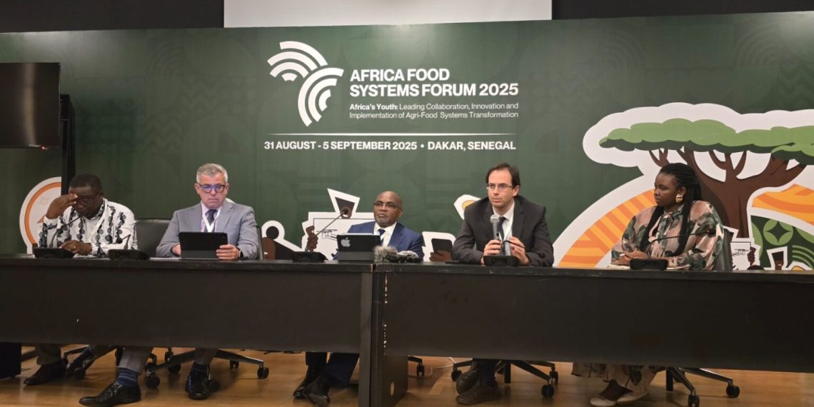 Africa’s food security gains fall short despite decades of progress – Africa Food Systems Report 2025 Africa’s food security gains fall short despite decades of progress – Africa Food Systems Report 2025