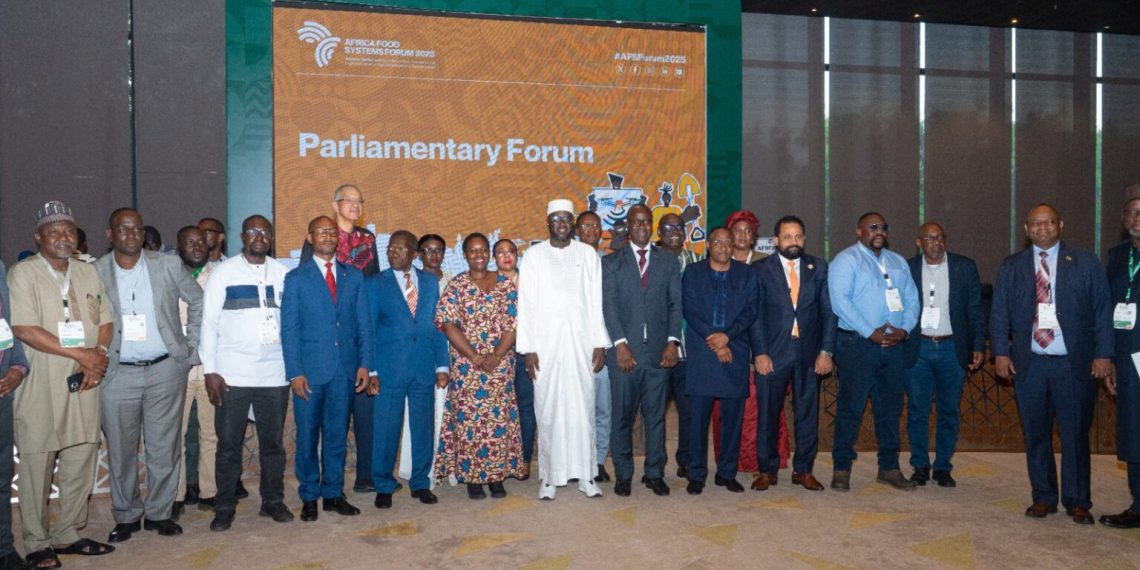 Parliamentarians must lead efforts to improve Africa’s food systems – Dr. Seidu Jasaw Parliamentarians must lead efforts to improve Africa’s food systems – Dr. Seidu Jasaw
