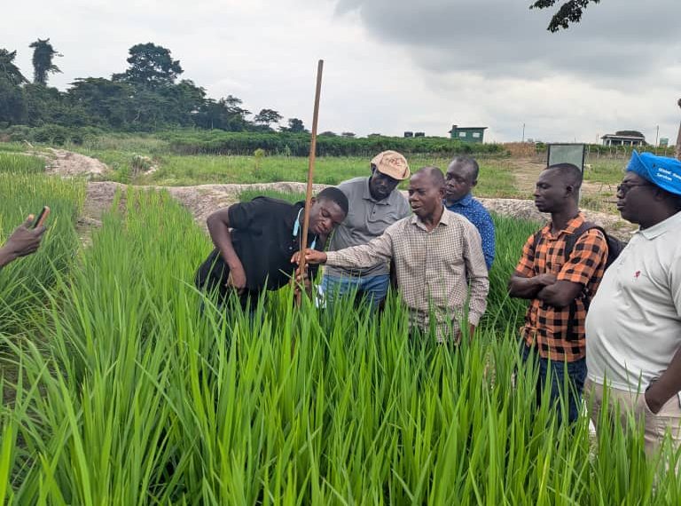 ACE4ES Builds Capacity of Scientists on Rice Methane Emission Research ACE4ES Builds Capacity of Scientists on Rice Methane Emission Research