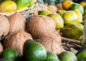 Coconut, watermelon, ginger ,avocado  hold their place among Ghana’s inflation drivers
