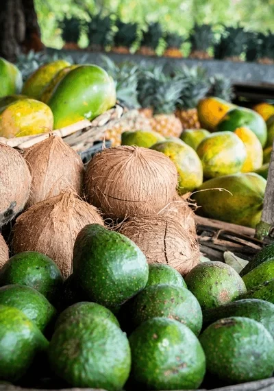 Coconut, watermelon, ginger ,avocado  hold their place among Ghana’s inflation drivers Coconut, watermelon, ginger ,avocado  hold their place among Ghana’s inflation drivers