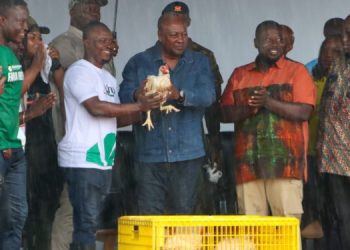 Mahama targets 100% local chicken production in 3 years