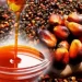 MoFA moves to address palm oil production shortfall    MoFA moves to address palm oil production shortfall