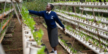 Sub-Saharan Africa Governments Expand School Feeding Programmes to 20 Million More Children, WFP Reports Sub-Saharan Africa Governments Expand School Feeding Programmes to 20 Million More Children, WFP Reports